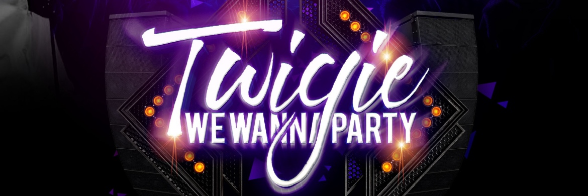 Twigie We Wanna Party