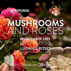 Mushrooms and Roses