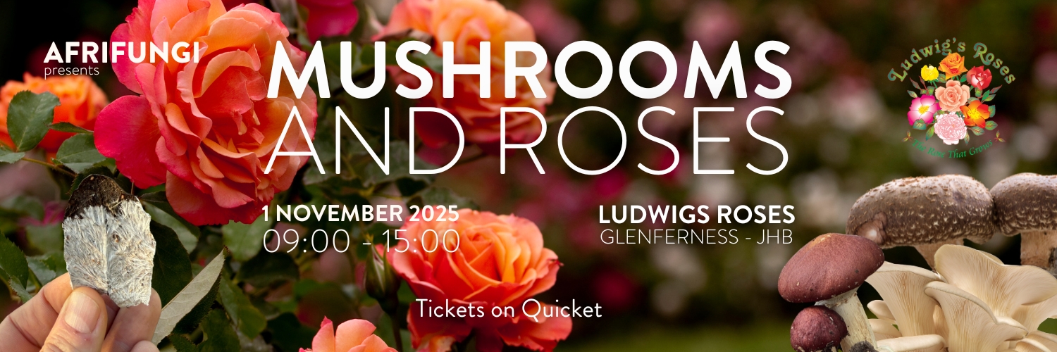 Mushrooms and Roses