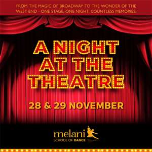 A Night at the Theatre