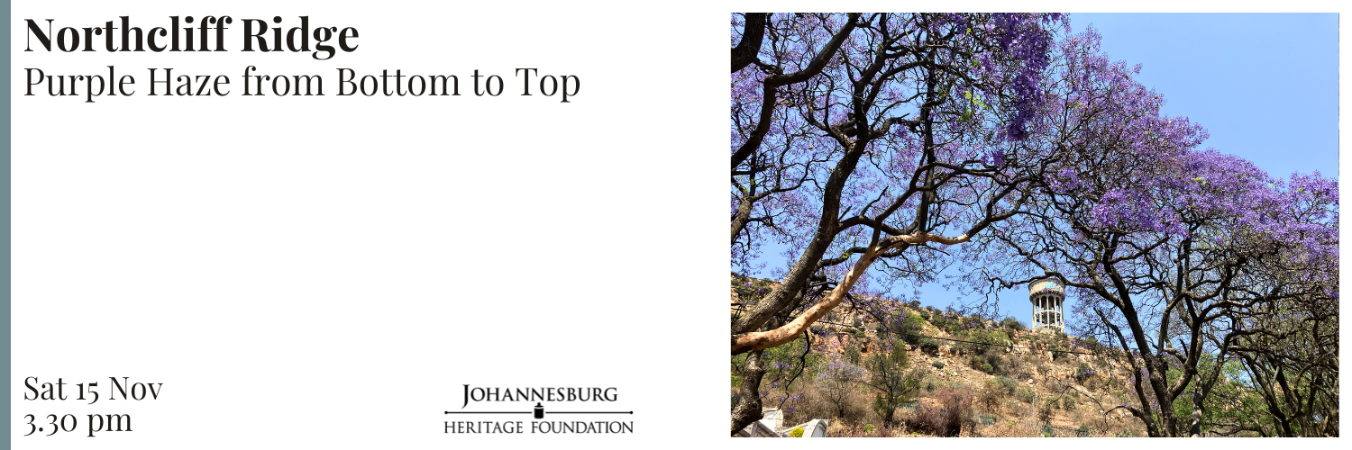 Northcliff Ridge - Purple Haze from Bottom to Top