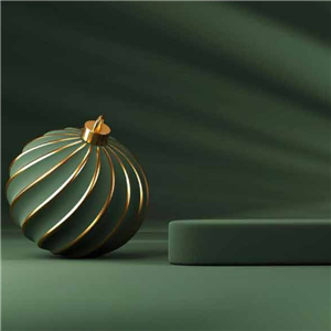 LACUNA BISTRO - CHRISTMAS DINNER