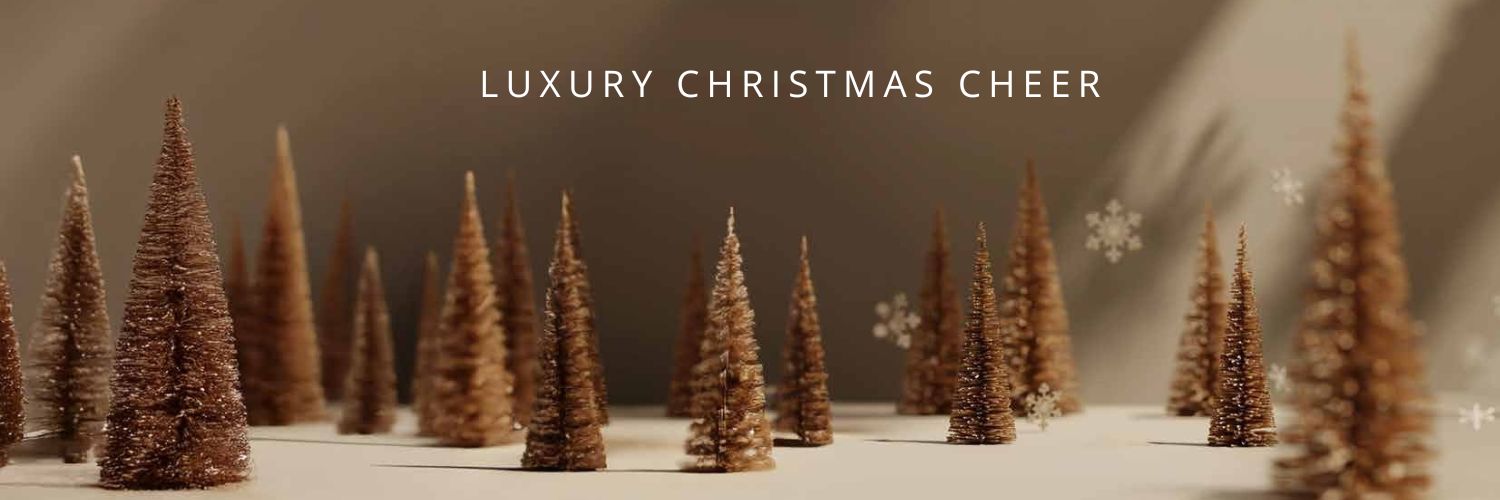 LACUNA BISTRO - CHRISTMAS LUNCH