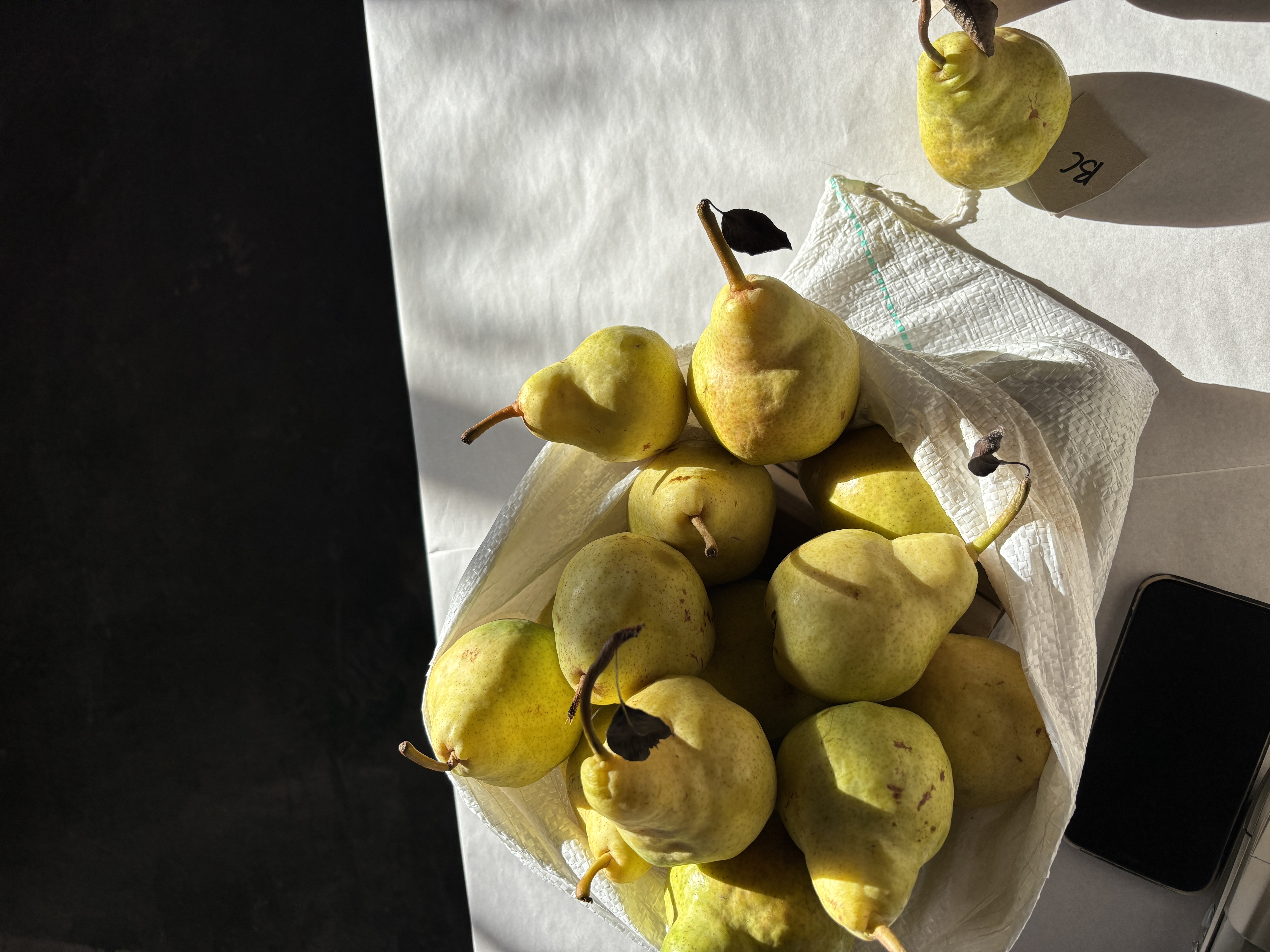 Vergesig Farm Annual Harvest Festival