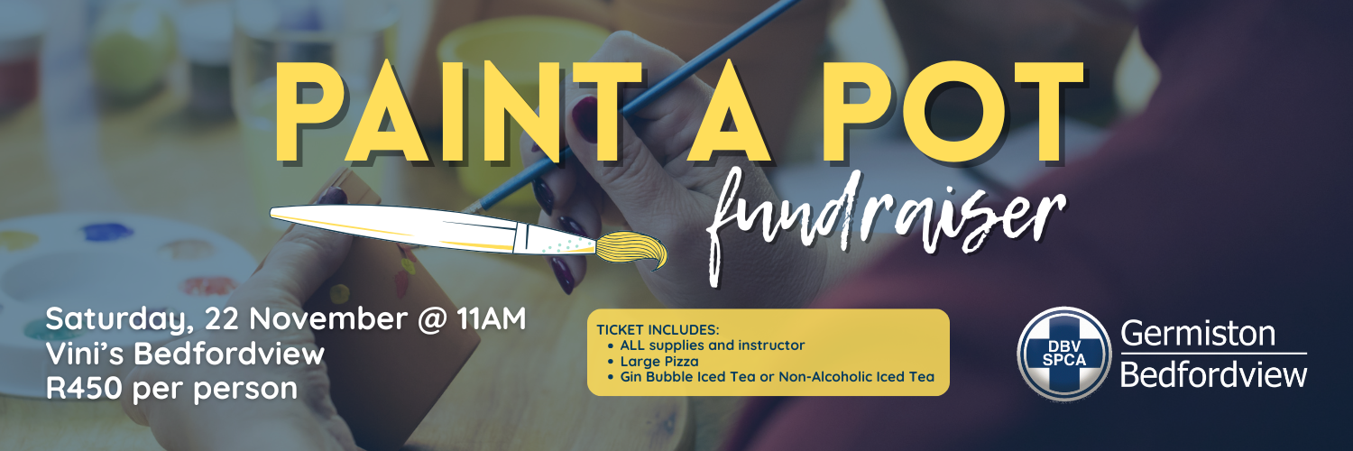 SPCA Paint a Pot Fundraiser