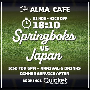 Springboks vs Japan photo 1