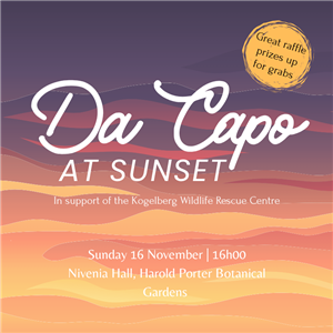 Da Capo at Sunset Live Music