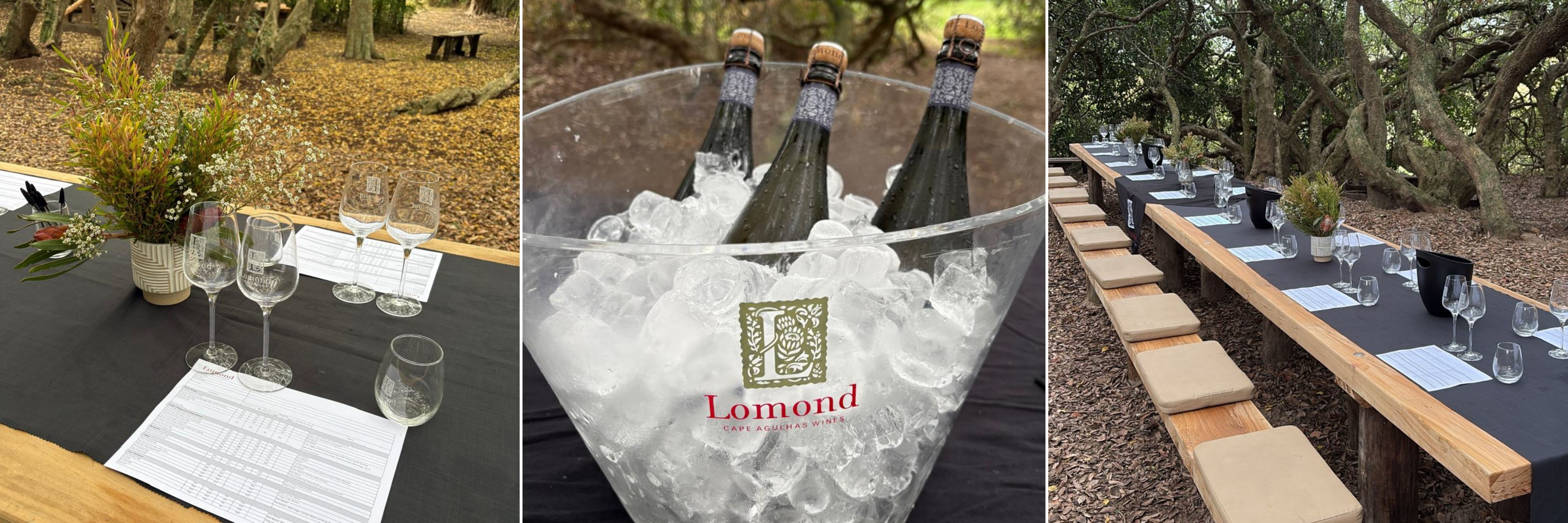 Sip to Your Resolutions – Lomond’s New Year Wine Tasting - A Lomond Long Table Event