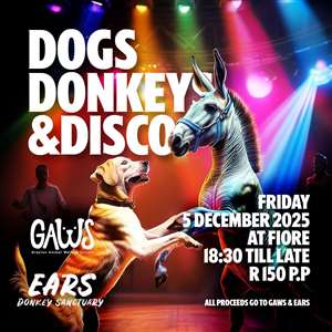 Dogs, Donkeys & Disco
