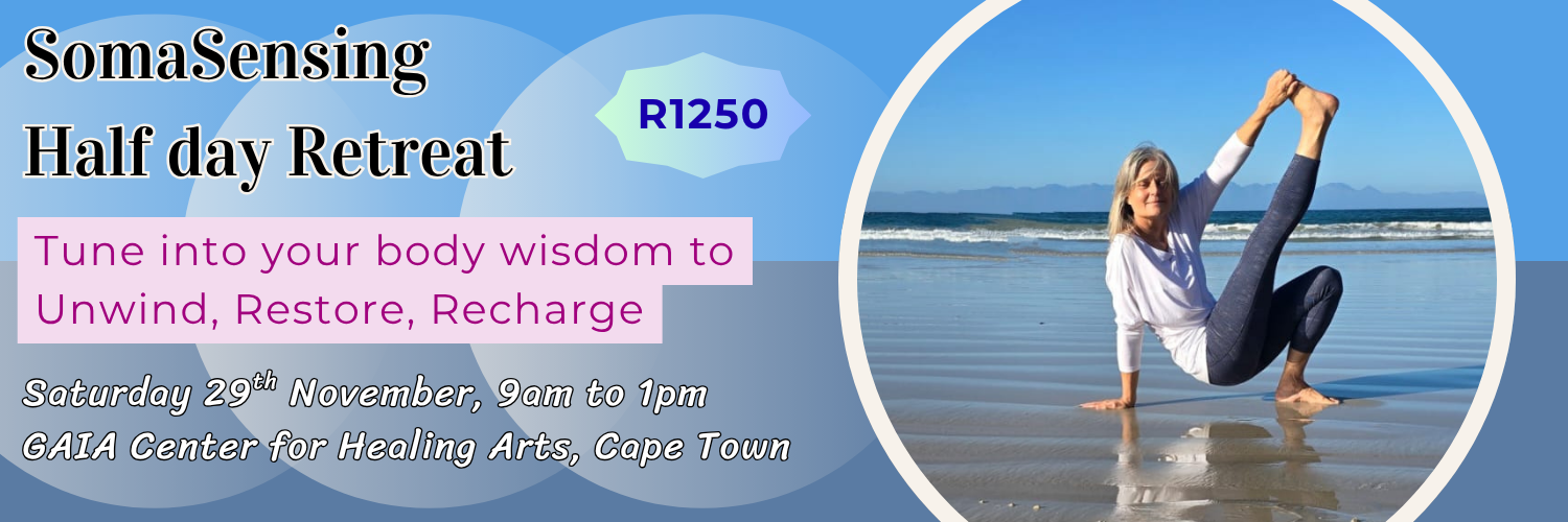 SomaSensing - Half Day Retreat