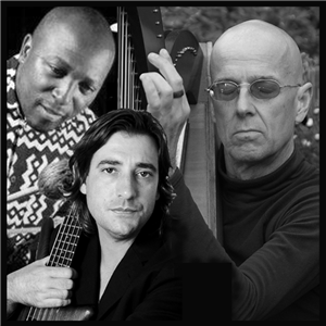 House Concert with Dave Reynolds, Bongani Sotshononda & Schalk Joubert