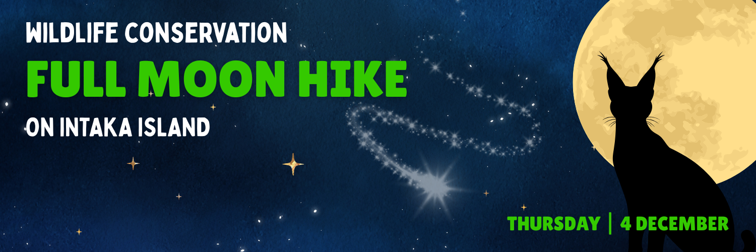 Wildlife Conservation Full Moon Hike on Intaka Island