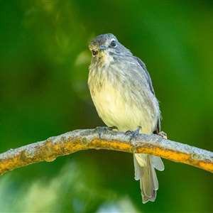 DELHEIM Birdwatching Day With Jacques Giliomee