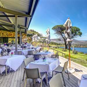 Silent Disco Cape Point Vineyard