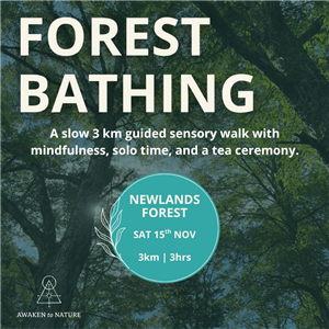 Forest Bathing - Newlands Forest