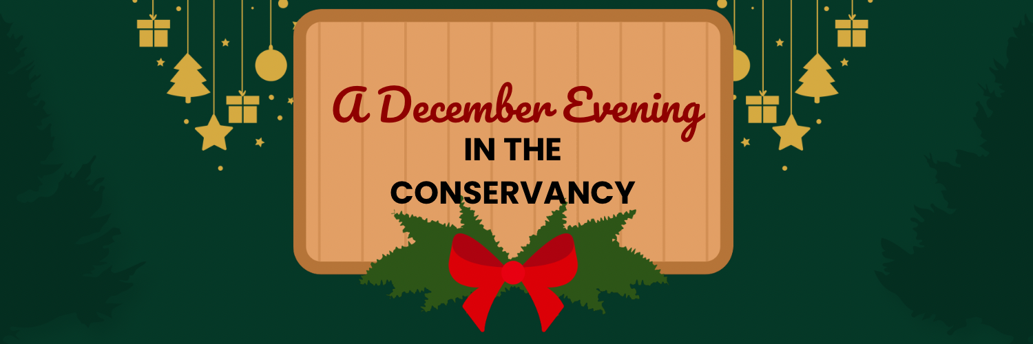 A December Evening in the Conservancy