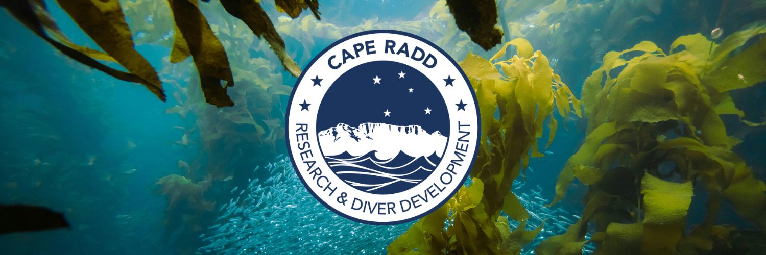 The Screening of "Ocean with David Attenborough"