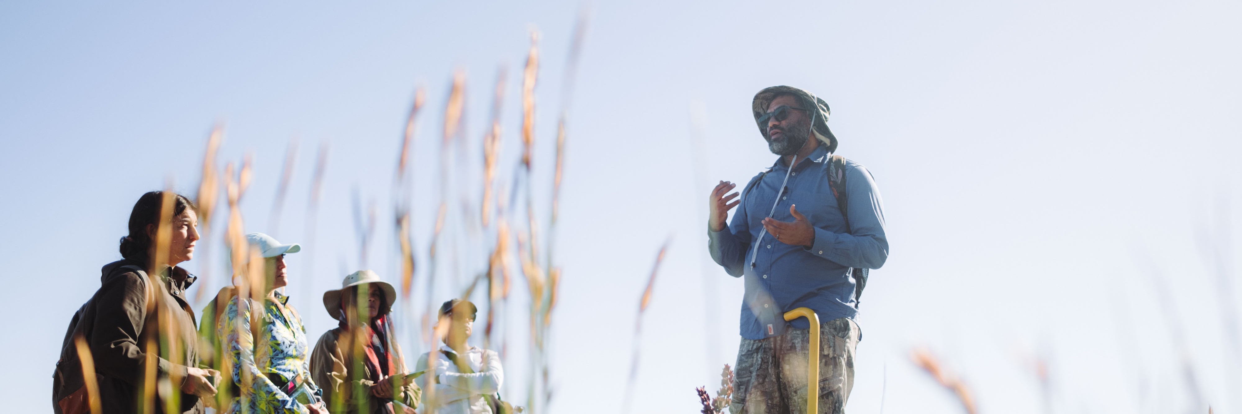 Guided Fynbos Walk with Rupert Koopman and Veld and Sea - 25 January