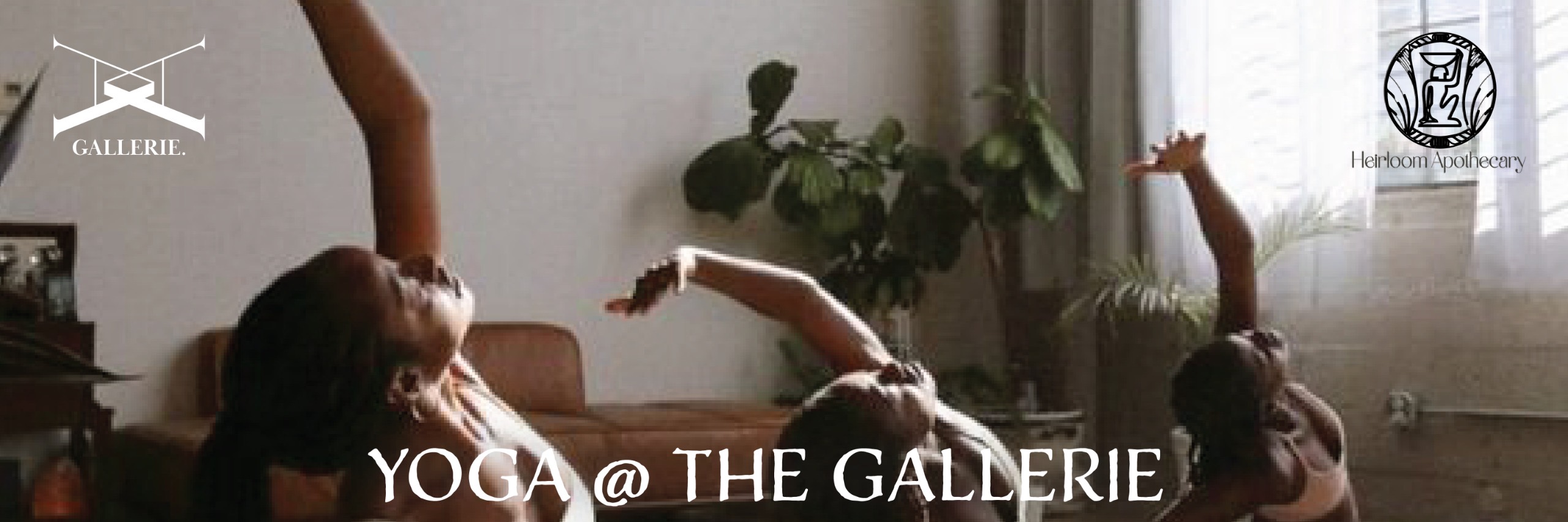 Yoga in the Gallery