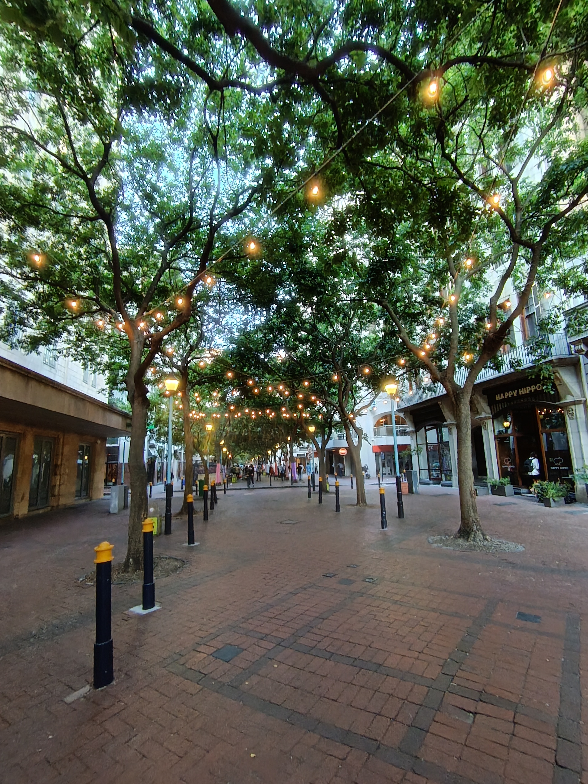 3-Hour Diamond Works experience and City Walking Tour in Cape Town