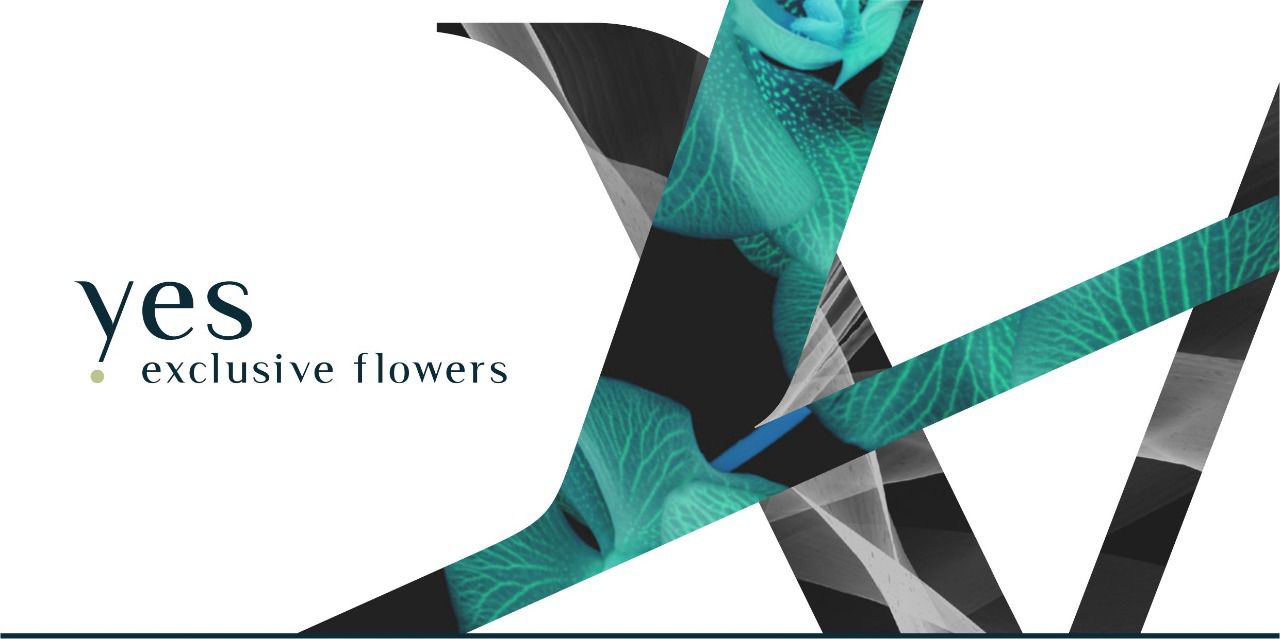 German inspired Christmas market Cape Town Paarden Eiland every Saturday before Christmas in December at Yes! exclusive flowers