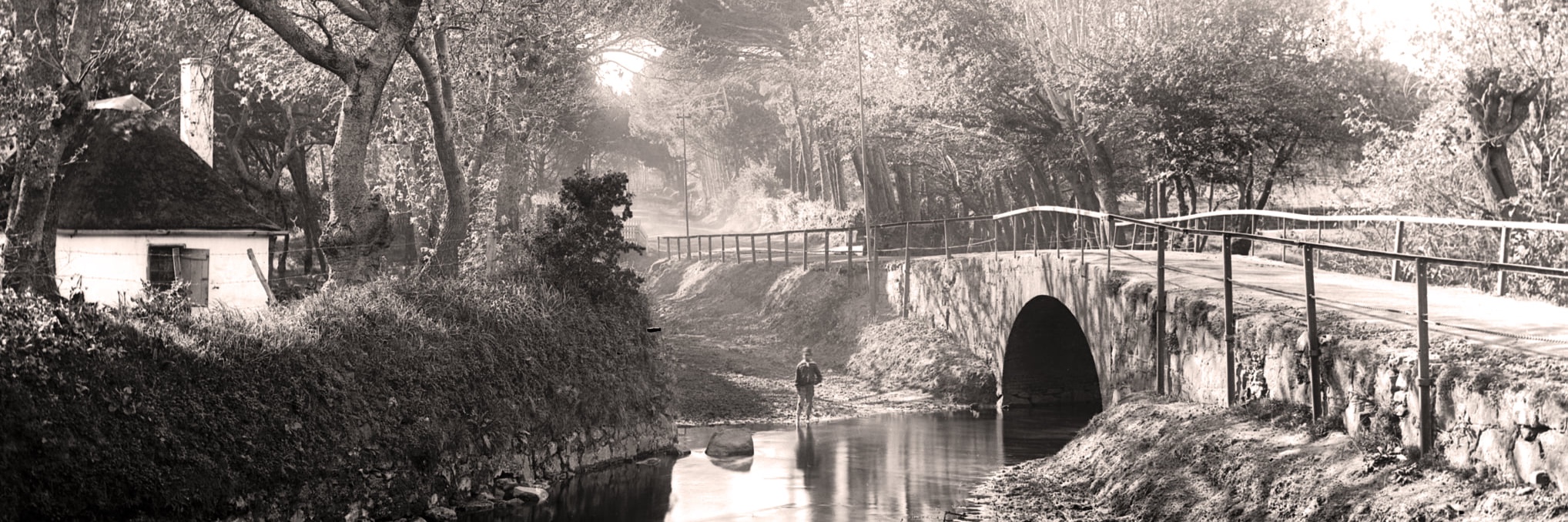 The National Stream - A Heritage Walking Tour Up the Liesbeek River