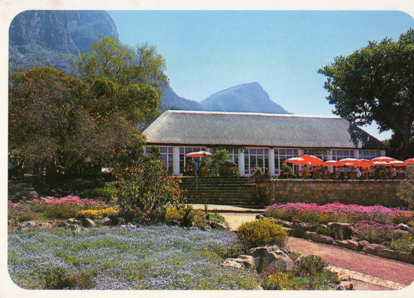 The Annual Paradise - A Kirstenbosch Heritage Walking Tour