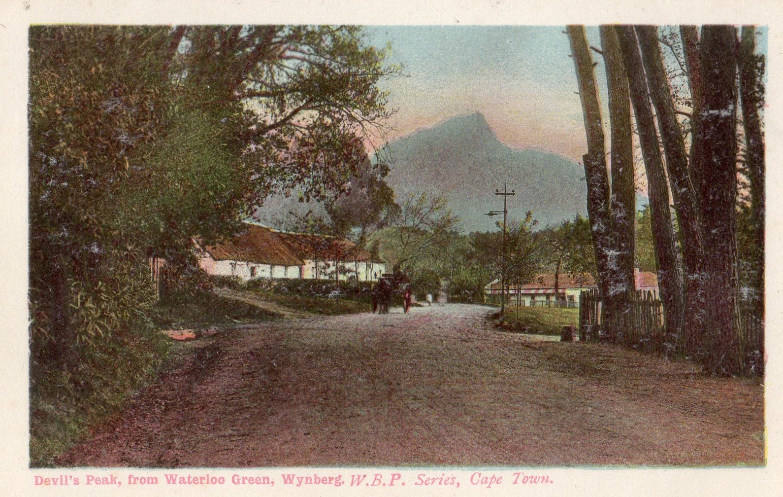 Old Whine Burgh - A Heritage Walking Tour through Little Chelsea and Old Wynberg