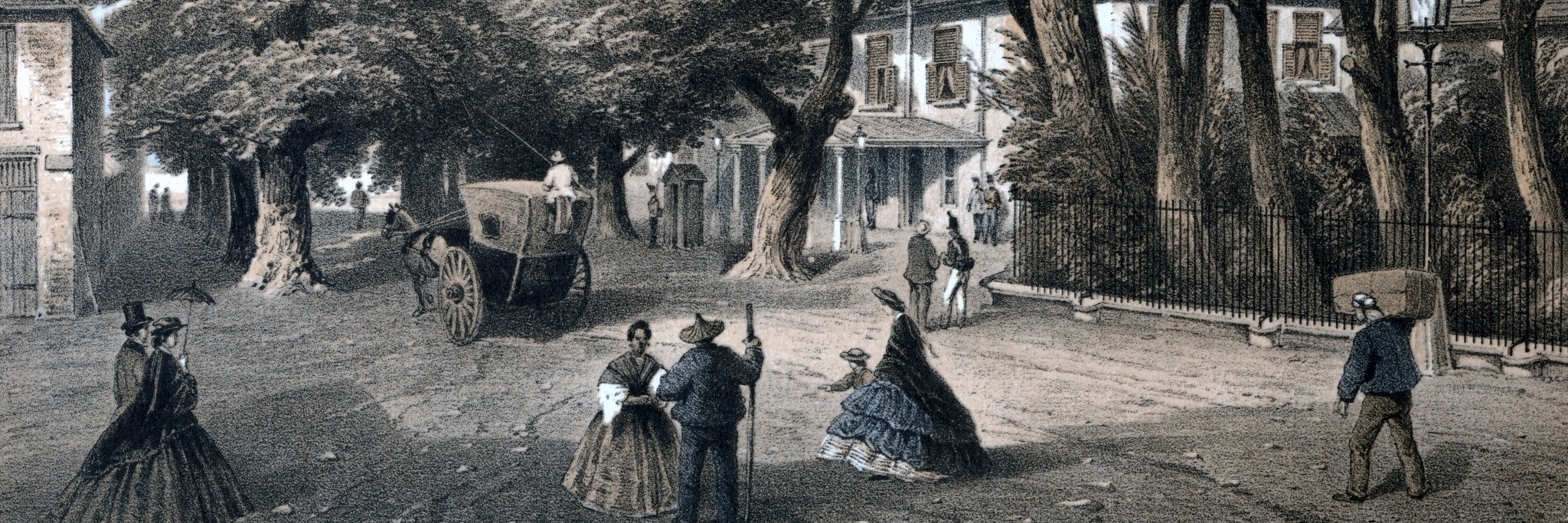 The Park at the End of the World - A Company Gardens Heritage Walking Tour