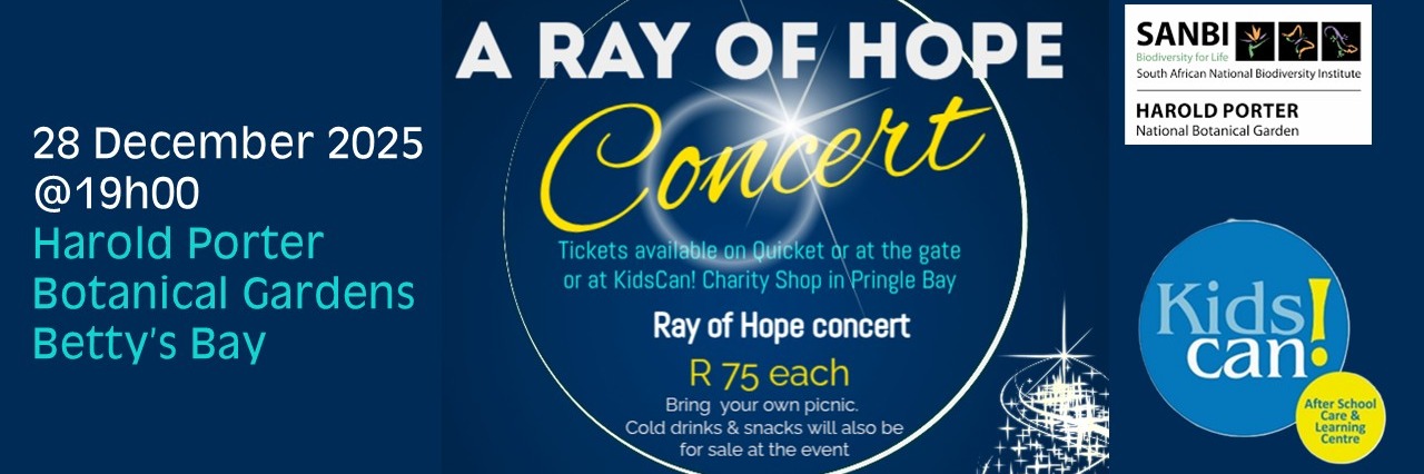 A Ray of Hope Concert