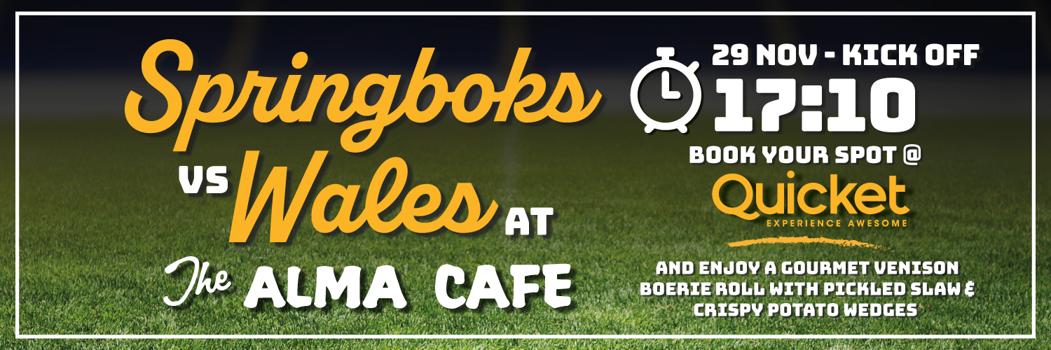 Springboks vs Wales