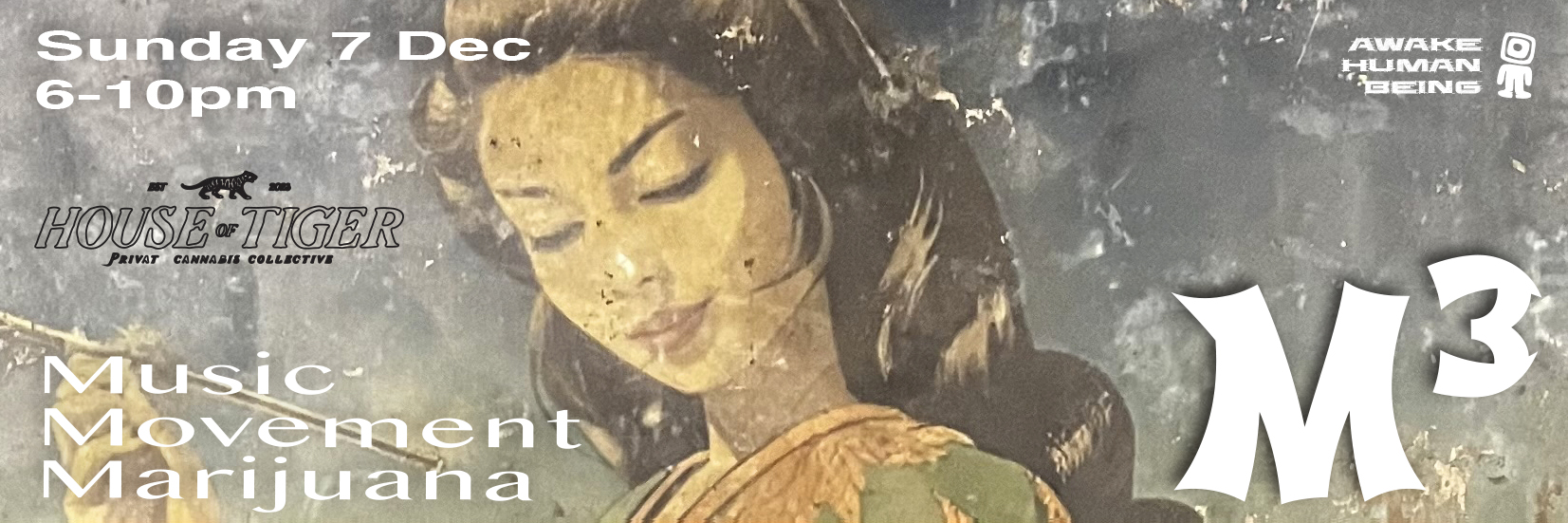 M3 - Dance Awake at the House of Tiger