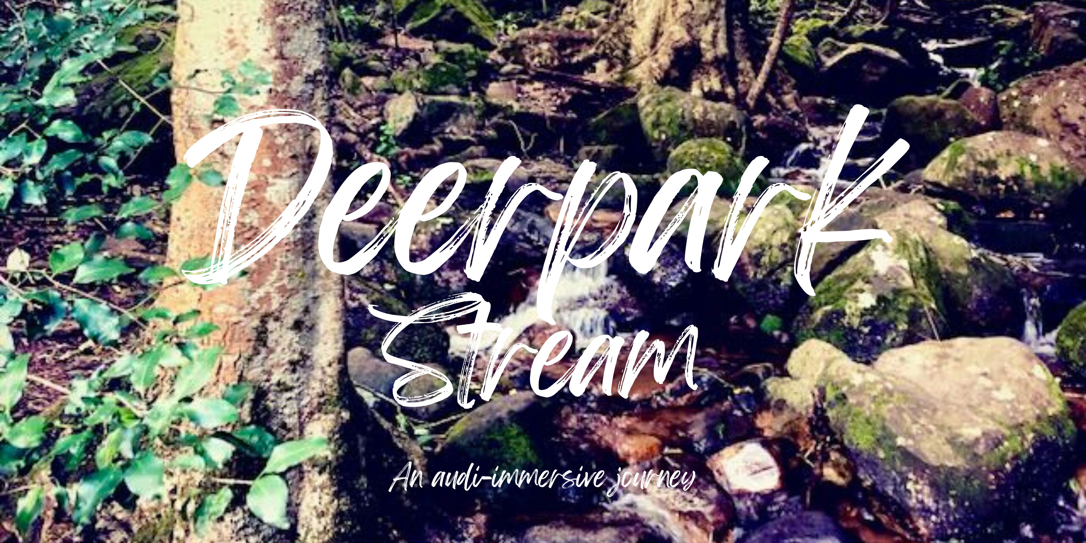 Deerpark Stream