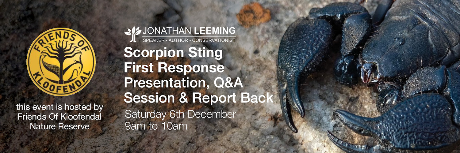Essential Scorpion Sting First Response Presentation