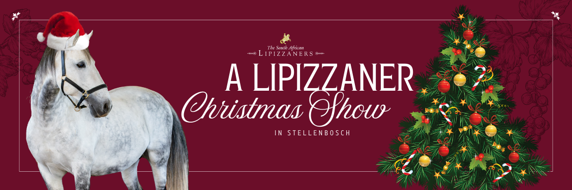 A Lipizzaner Christmas Show in Stellenbosch