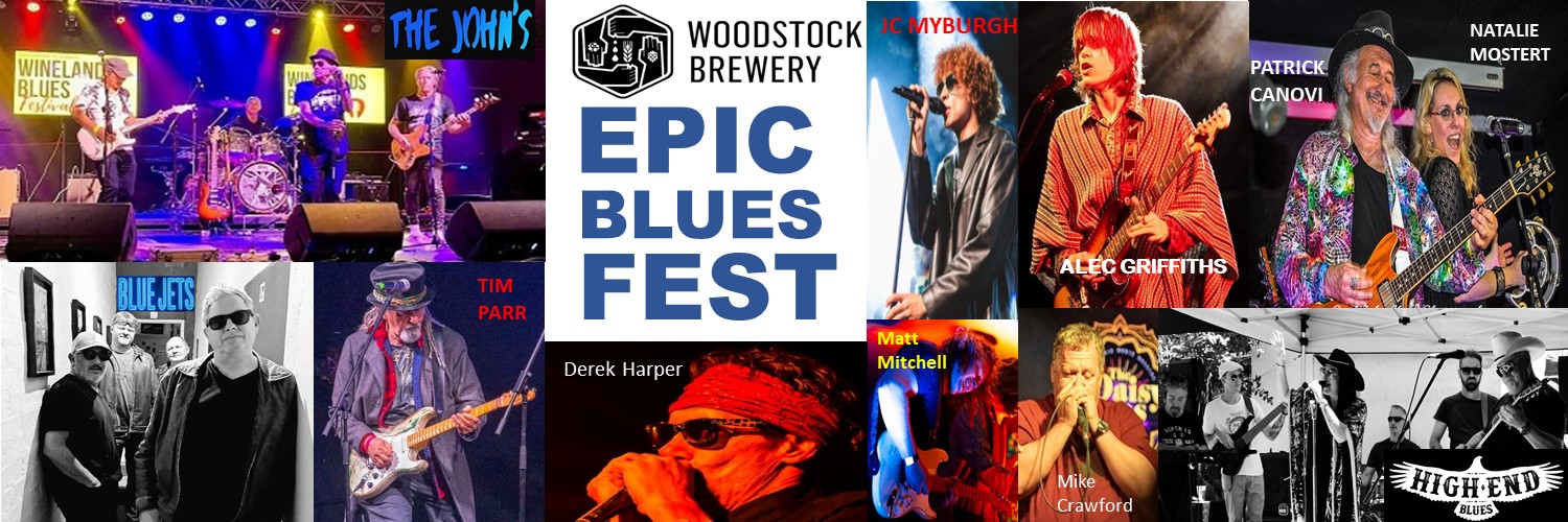 BIG BLUES FEST - Derek Harper Benefit Concert