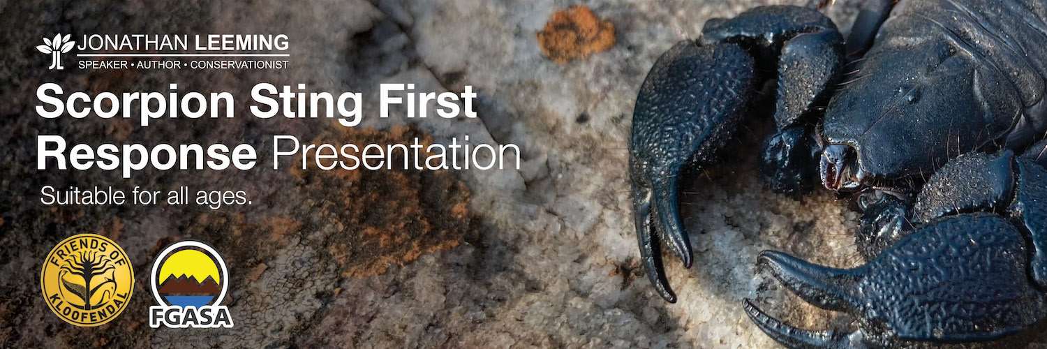 Essential Scorpion Sting First Response Presentation