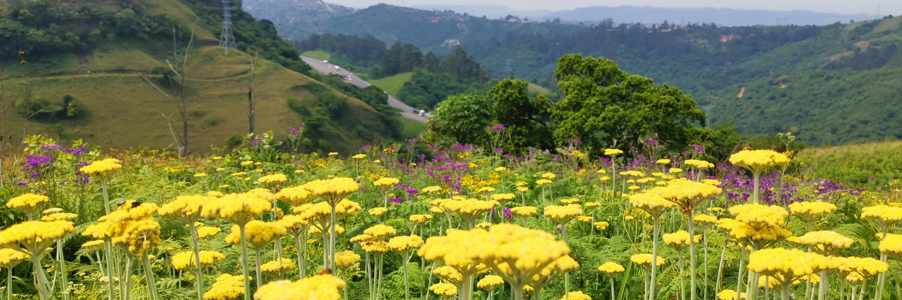 Giba Gorge Nature Reserve Hike - come chase waterfalls with Us!