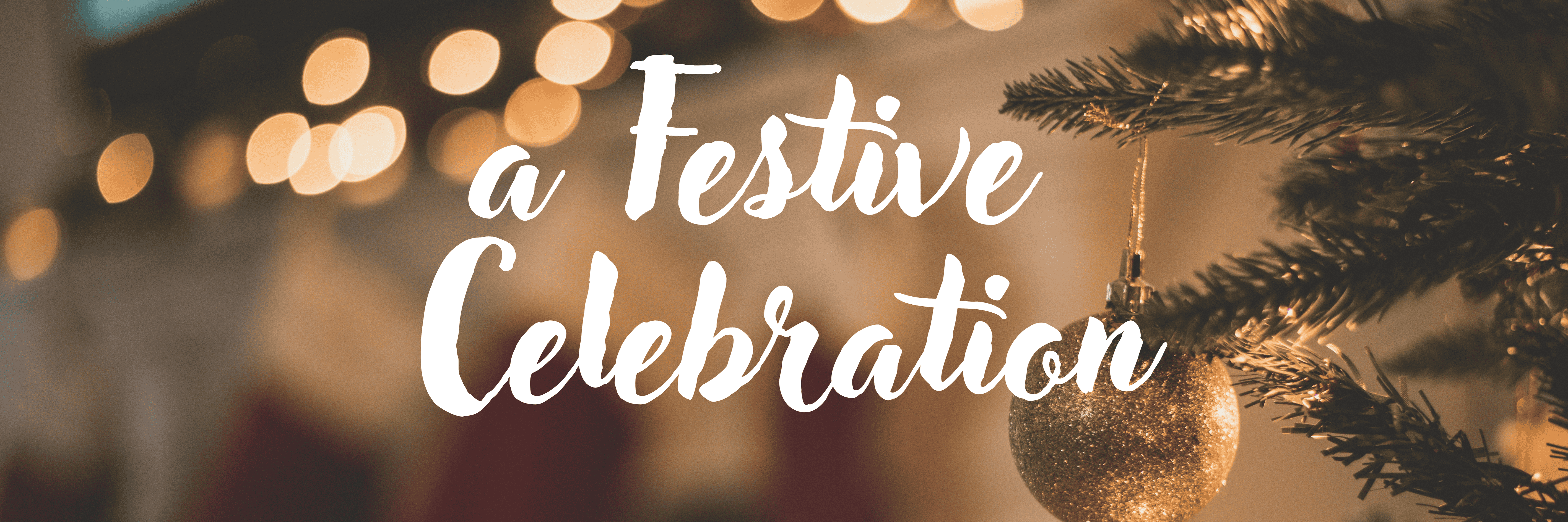 A Festive Celebration | Johnman Concerts