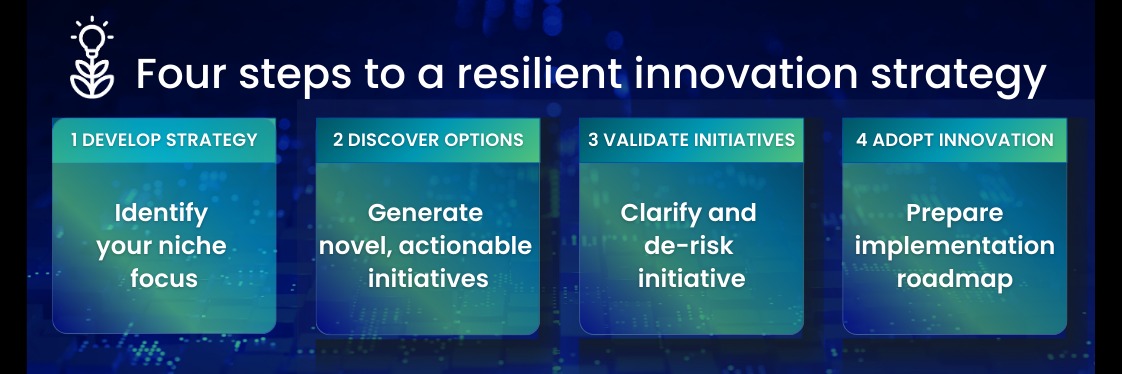 Innovation Strategy Part 1 - Finding your niche focus