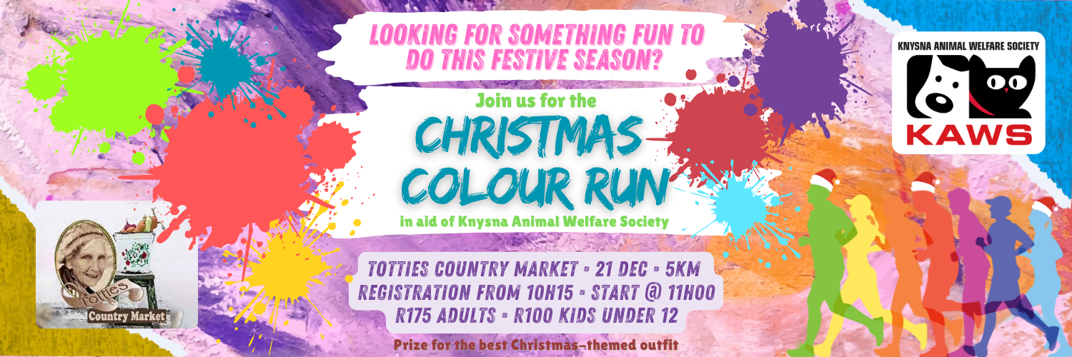 Christmas Colour Run