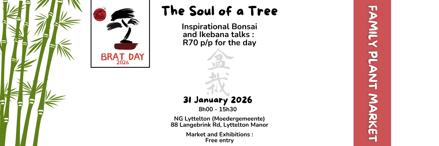 Bonsai Addicts BRAT Day 2026