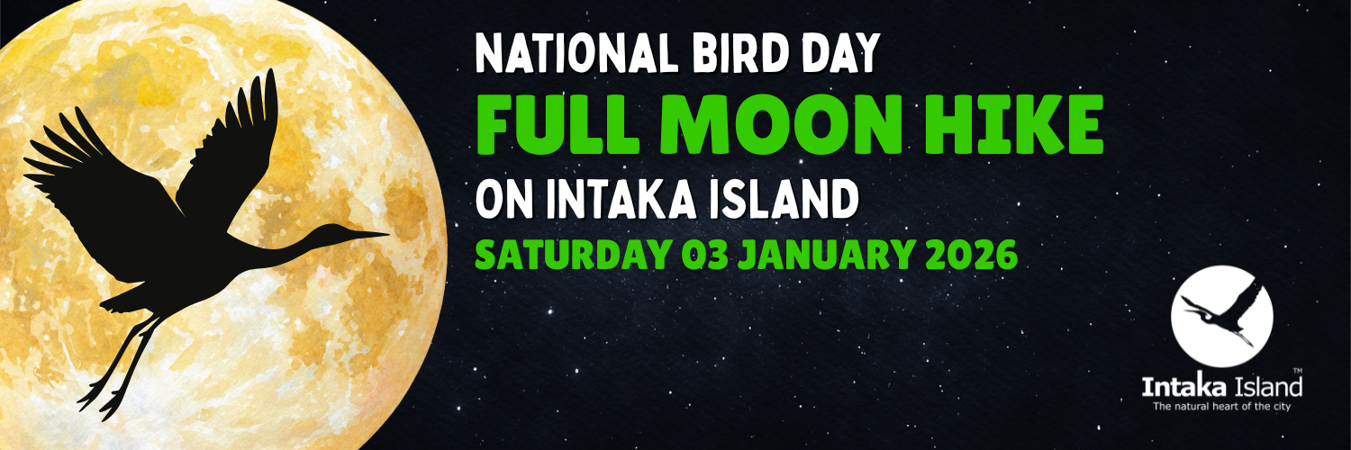 National Bird Day Full Moon Hike on Intaka Island