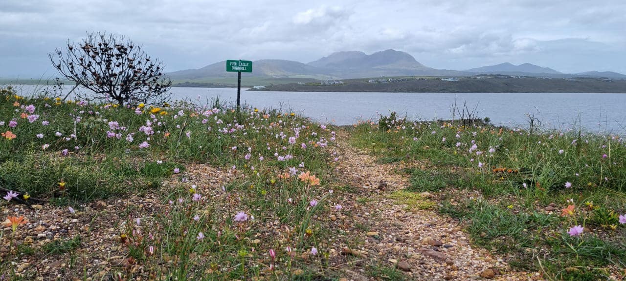 Kleinmond Cycling Club Membership (2026)