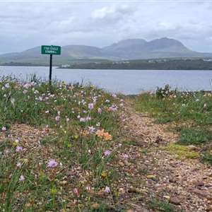 Kleinmond Cycling Club Membership (2026)