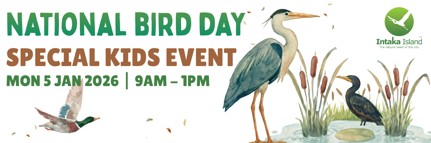 Intaka Island Kids' Special Event - National Bird Day