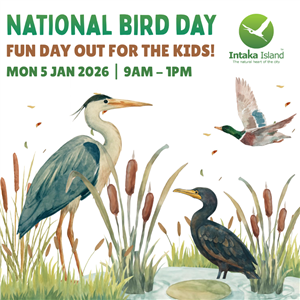 Intaka Island Kids' Special Event - National Bird Day