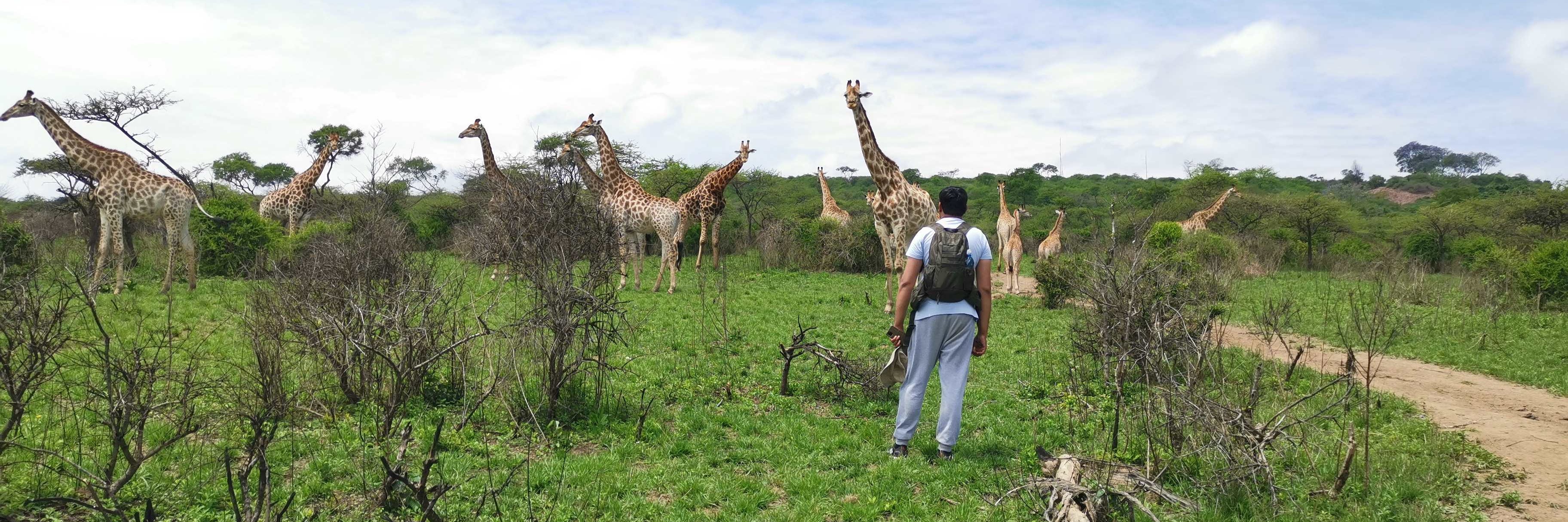 Bisley Nature Reserve Adventure - take a selfie with a giraffe!