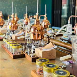 Giniversity 20260131 - Craft your own Gin!