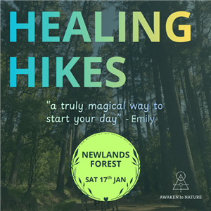 Healing Hike - Newlands Forest